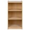 Emma and Oliver Wooden School Classroom Storage Cabinet/Bookshelf for Commercial or Home Use